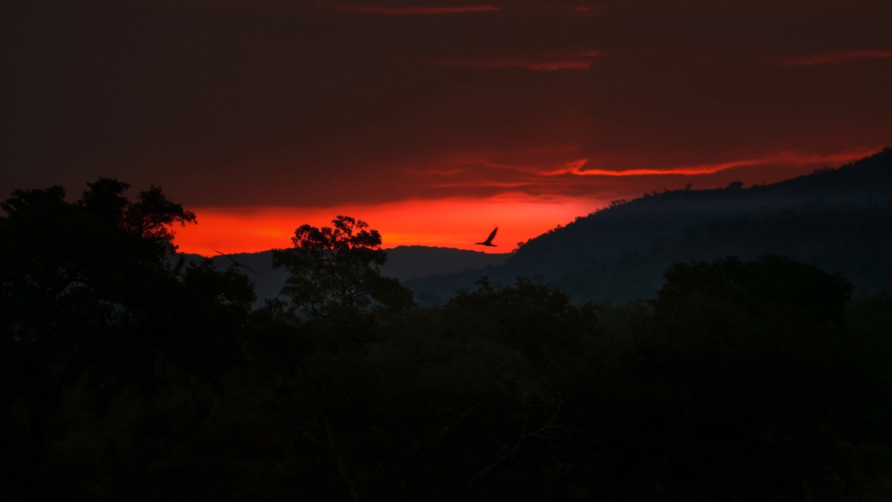 Photo of Outdoor in Malelane