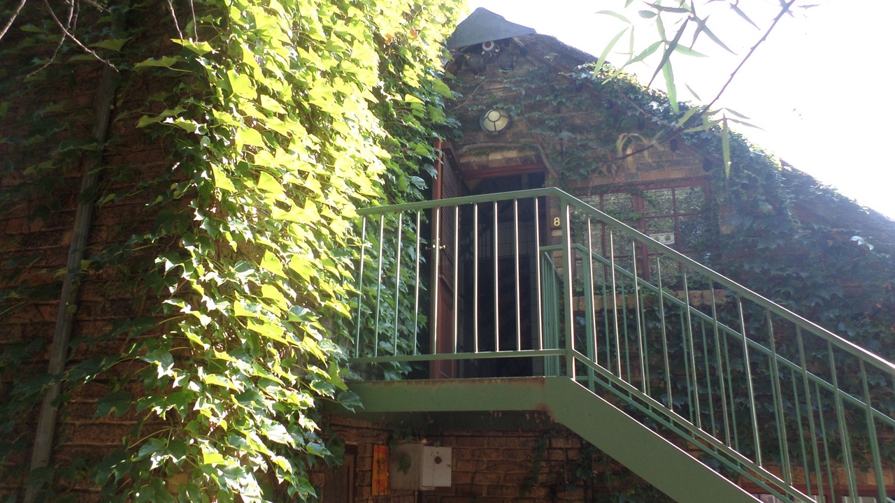 Photo of Outdoor in Tshwane