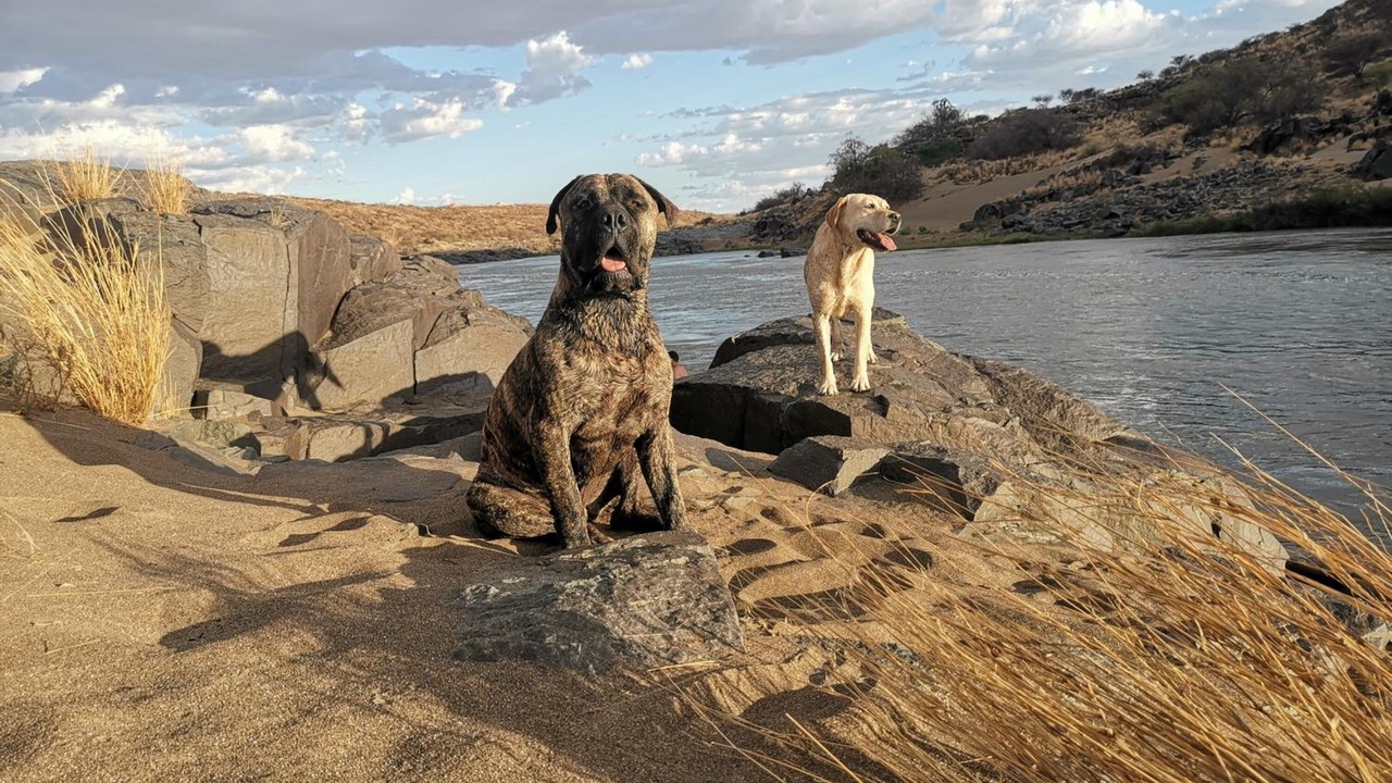 Photo of Others in McGregor Private Nature Reserve