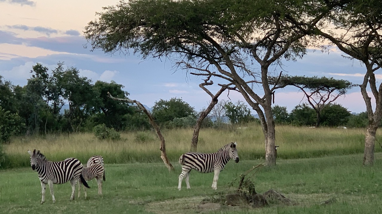 Photo of Others in Mbombela