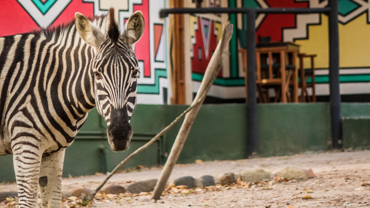 Photo of Outdoor in Thorny Bush Game Reserve