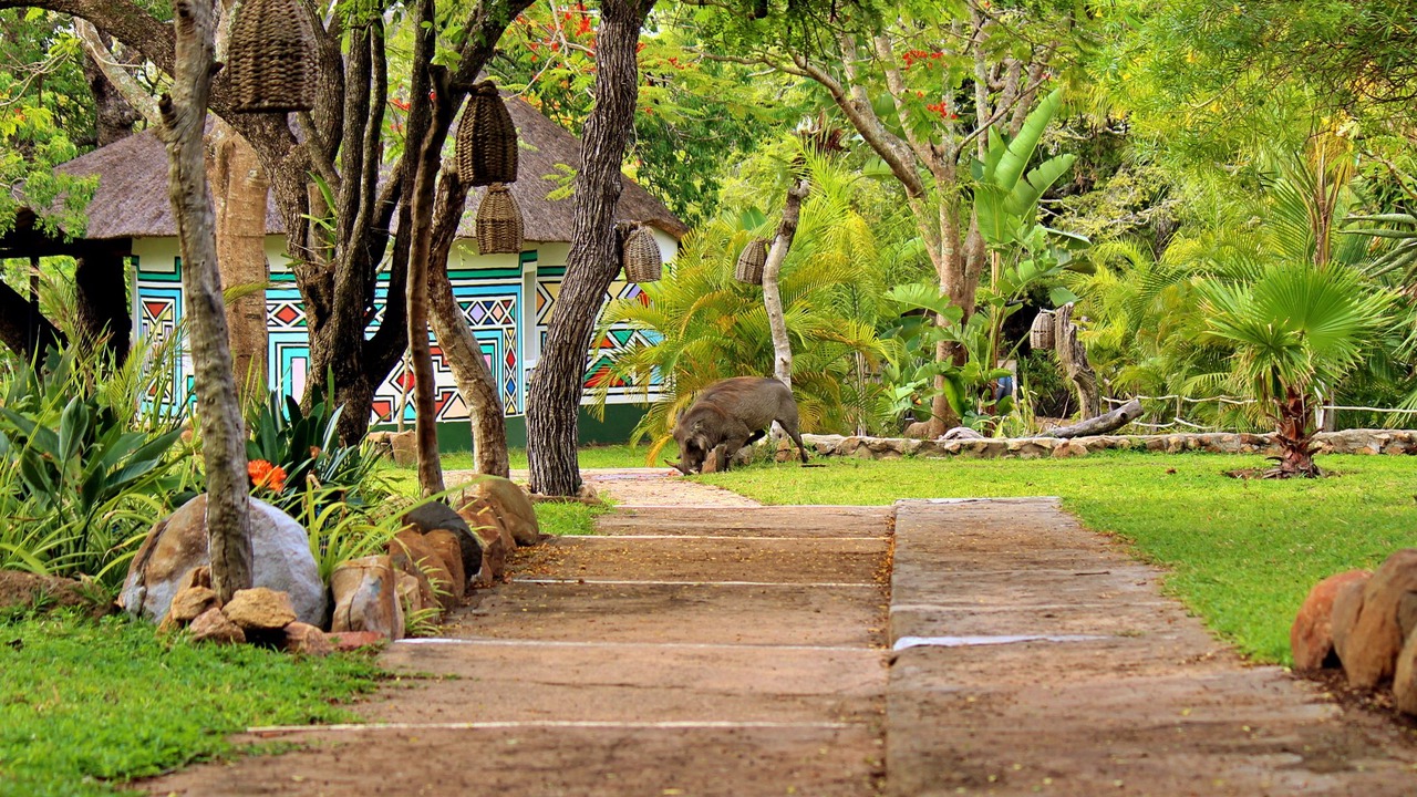 Photo of Outdoor in Thorny Bush Game Reserve