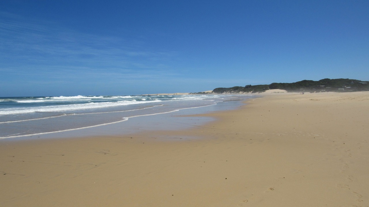 Photo of Others in Seafield