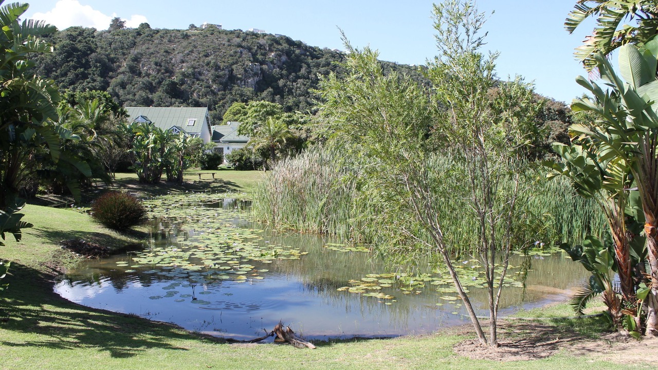 Photo of Outdoor in Plettenberg Bay