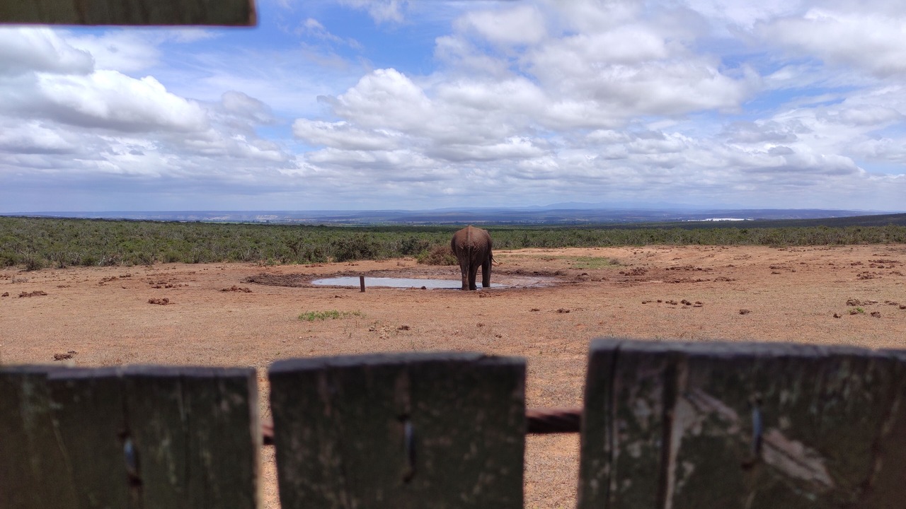 Photo of Outdoor in Jeffreys Bay