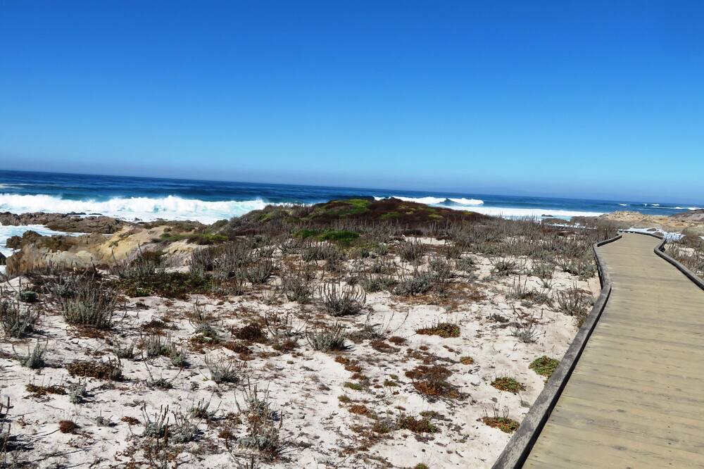 Photo of Others in Pacific Grove