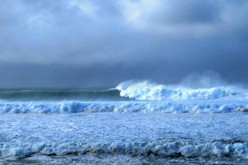 Photo of Others in Pacific Grove