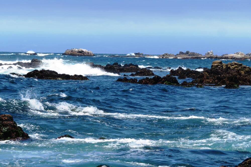 Photo of Others in Pacific Grove