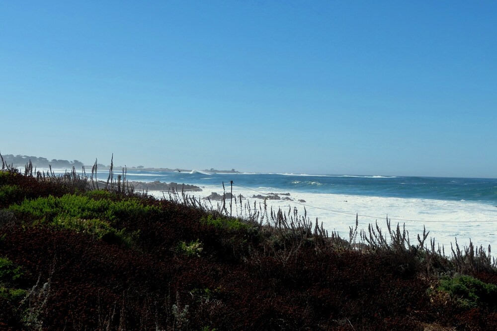 Photo of Others in Pacific Grove