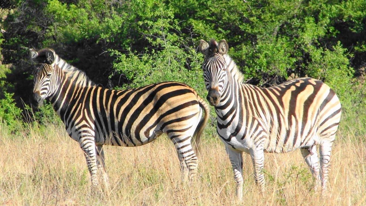 Photo of Outdoor in Potchefstroom