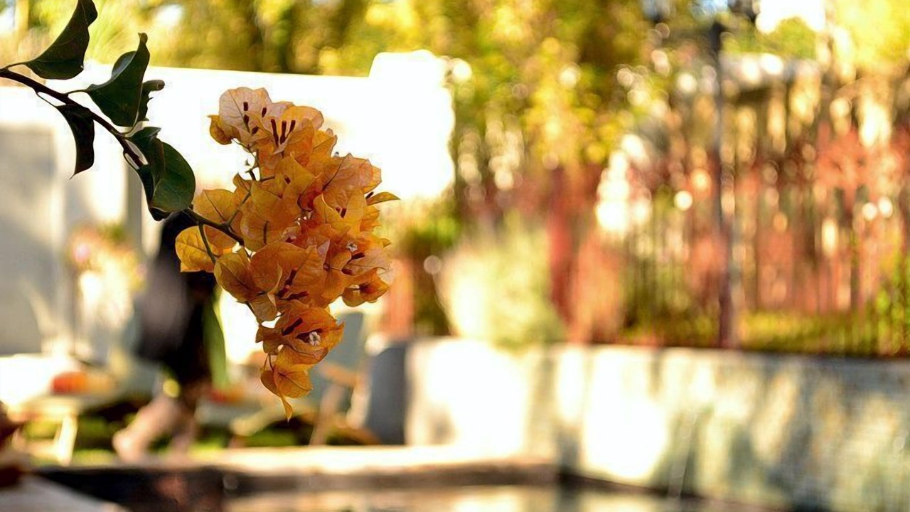 Photo of Outdoor in Riebeek Kasteel