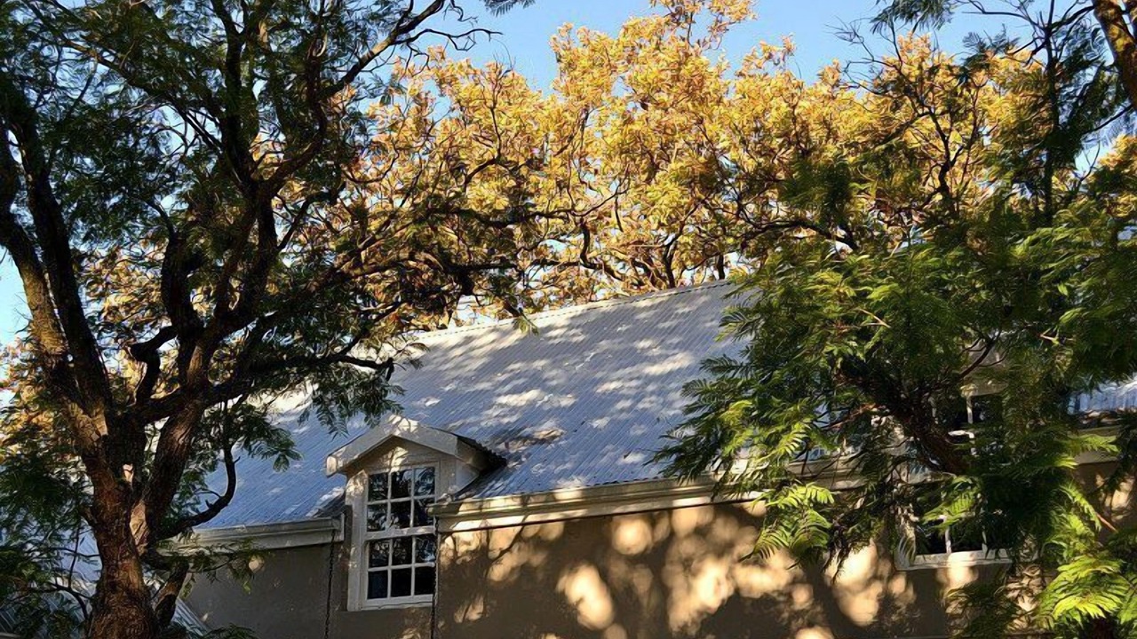 Photo of Outdoor in Riebeek Kasteel