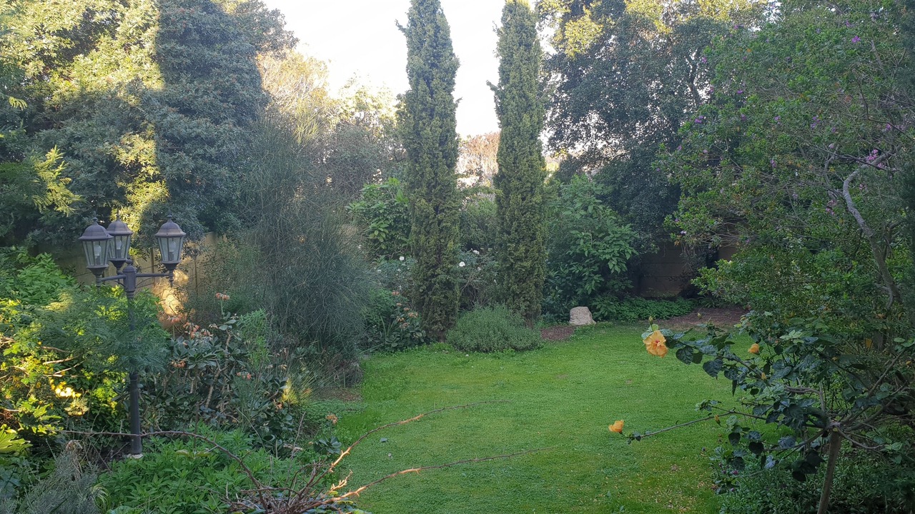 Photo of Outdoor in Trawal