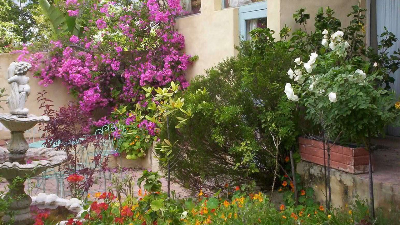 Photo of Outdoor in Trawal
