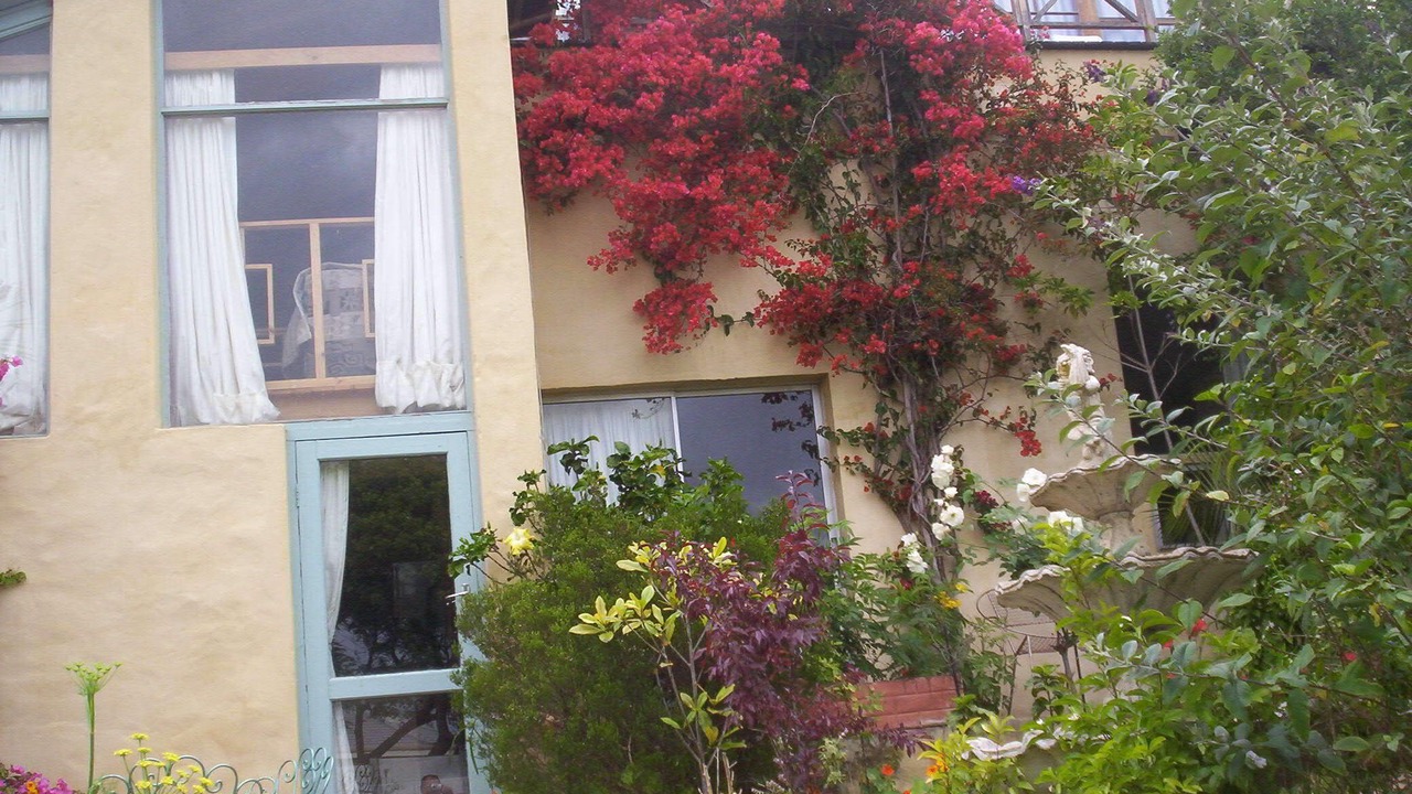 Photo of Outdoor in Trawal