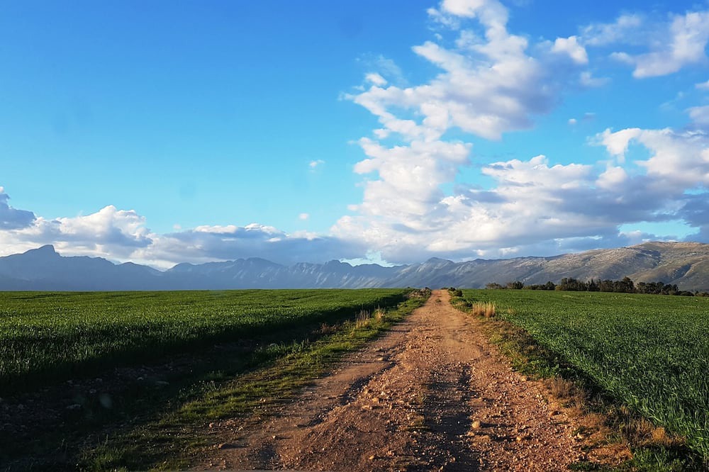 Photo of Outdoor in Tulbagh