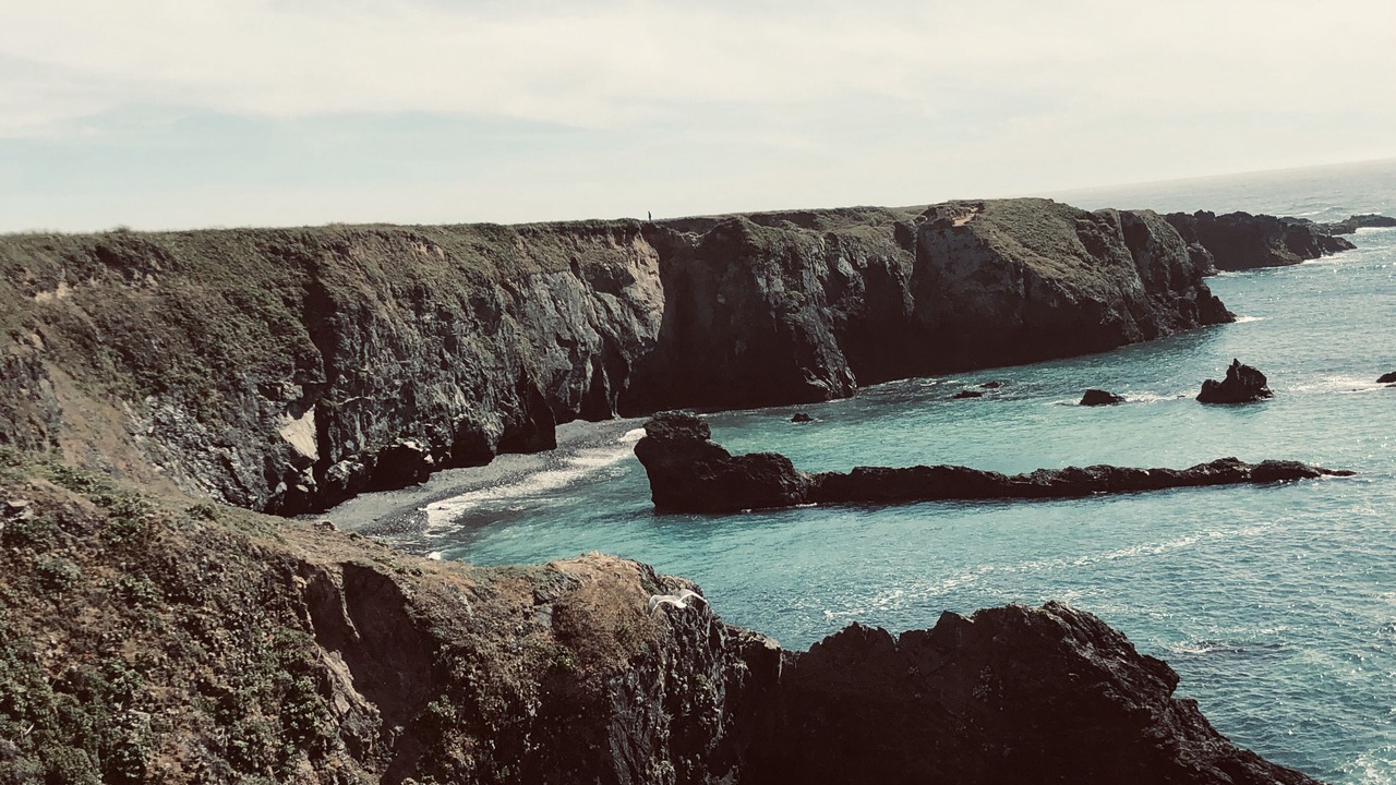Photo of Outdoor in Little River