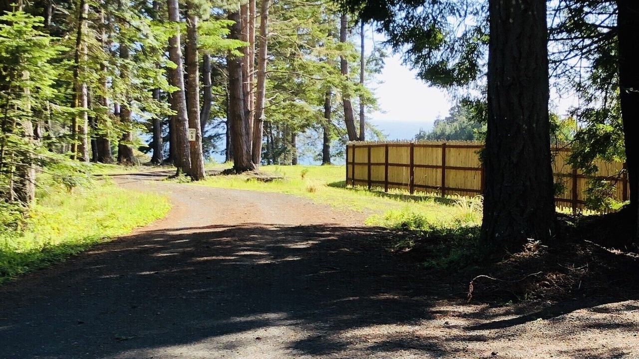 Photo of Outdoor in Little River
