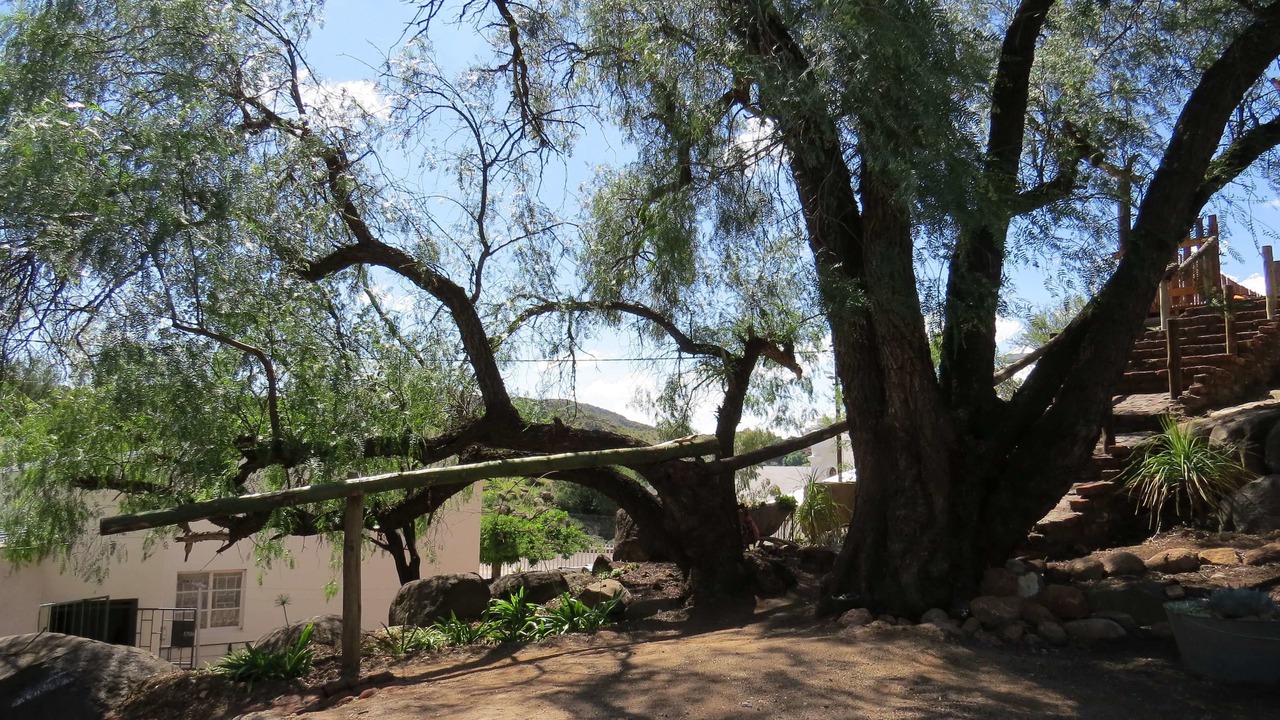 Photo of Outdoor in Colesberg