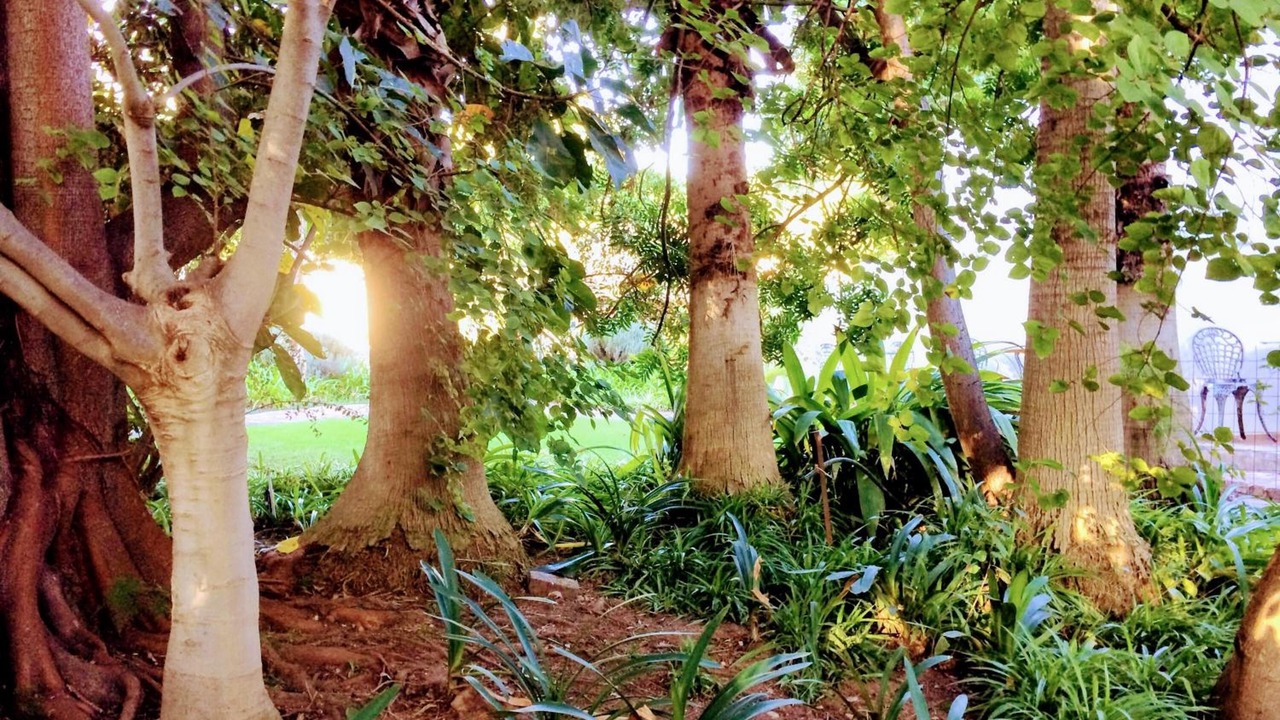 Photo of Outdoor in Polokwane