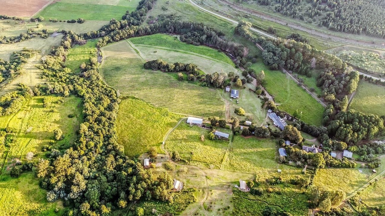 Photo of Outdoor in Balgowan