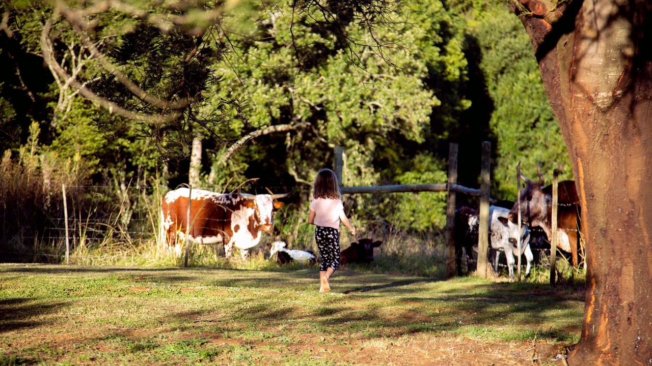 Photo of Outdoor in Balgowan
