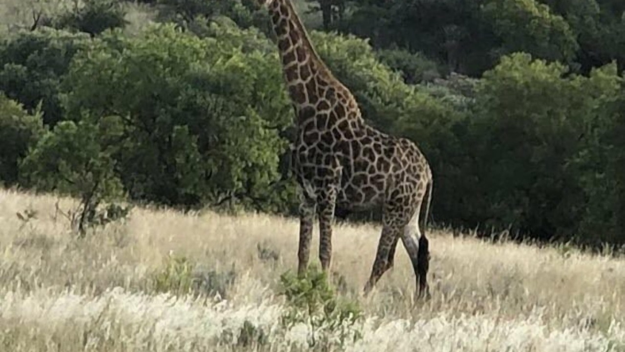 Photo of Others in Kgetlengrivier