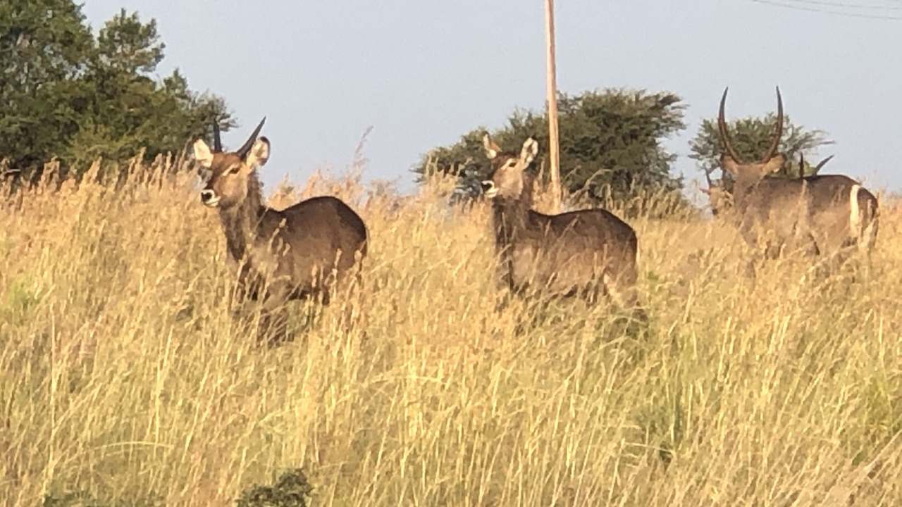 Photo of Others in Kgetlengrivier