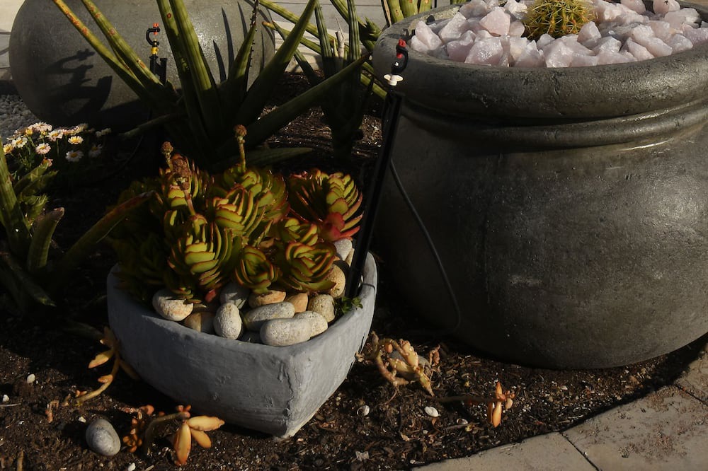 Photo of Outdoor in Dwarskersbos