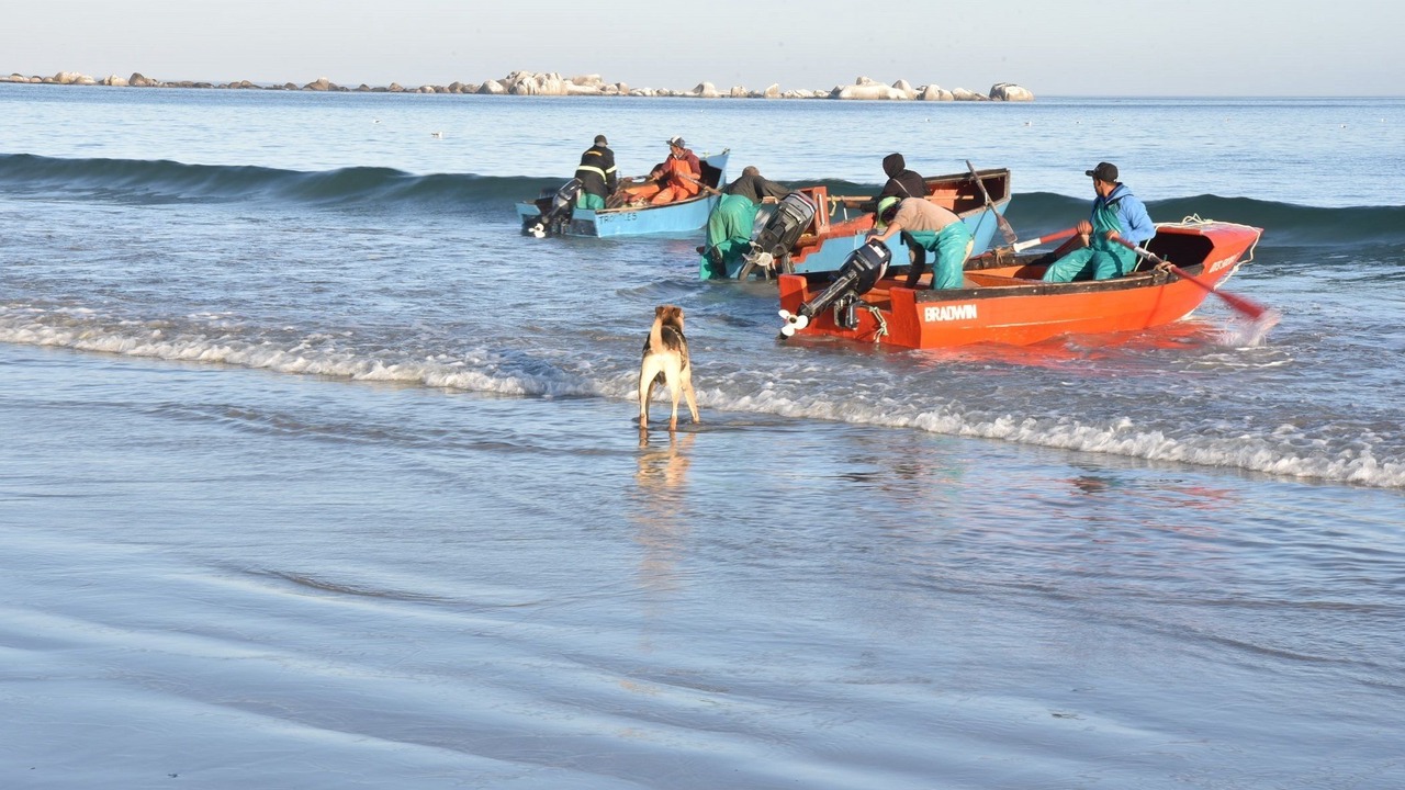 Photo of Others in Paternoster
