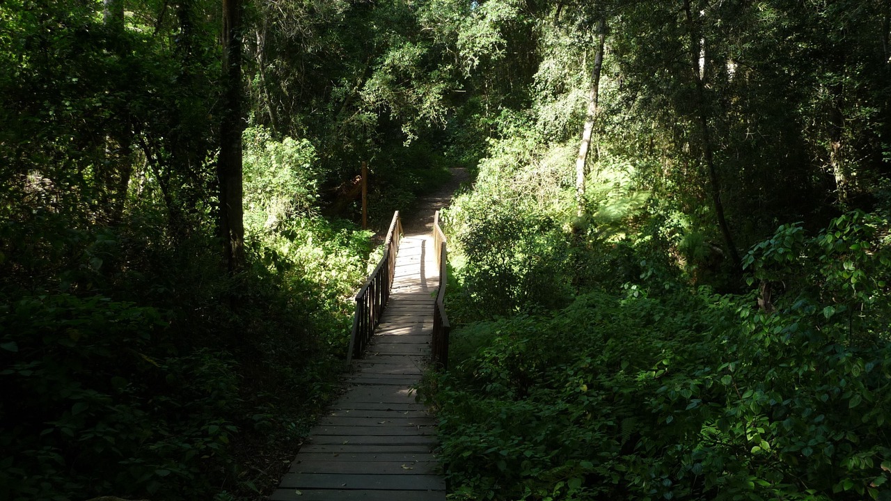 Photo of Outdoor in Wilderness Beach