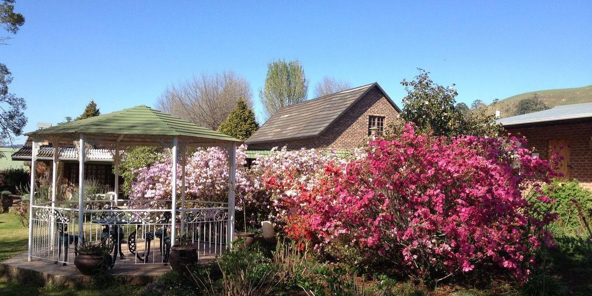 Photo of Outdoor in Richmond