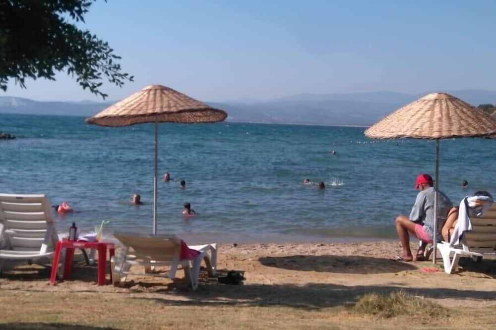 Photo of Others in Bogazici