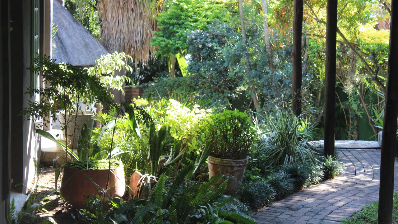 Photo of Outdoor in King William's Town