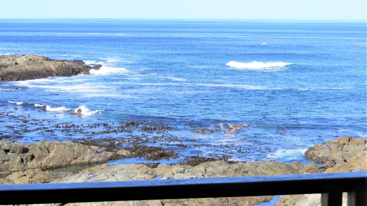 Photo of Others in Yzerfontein