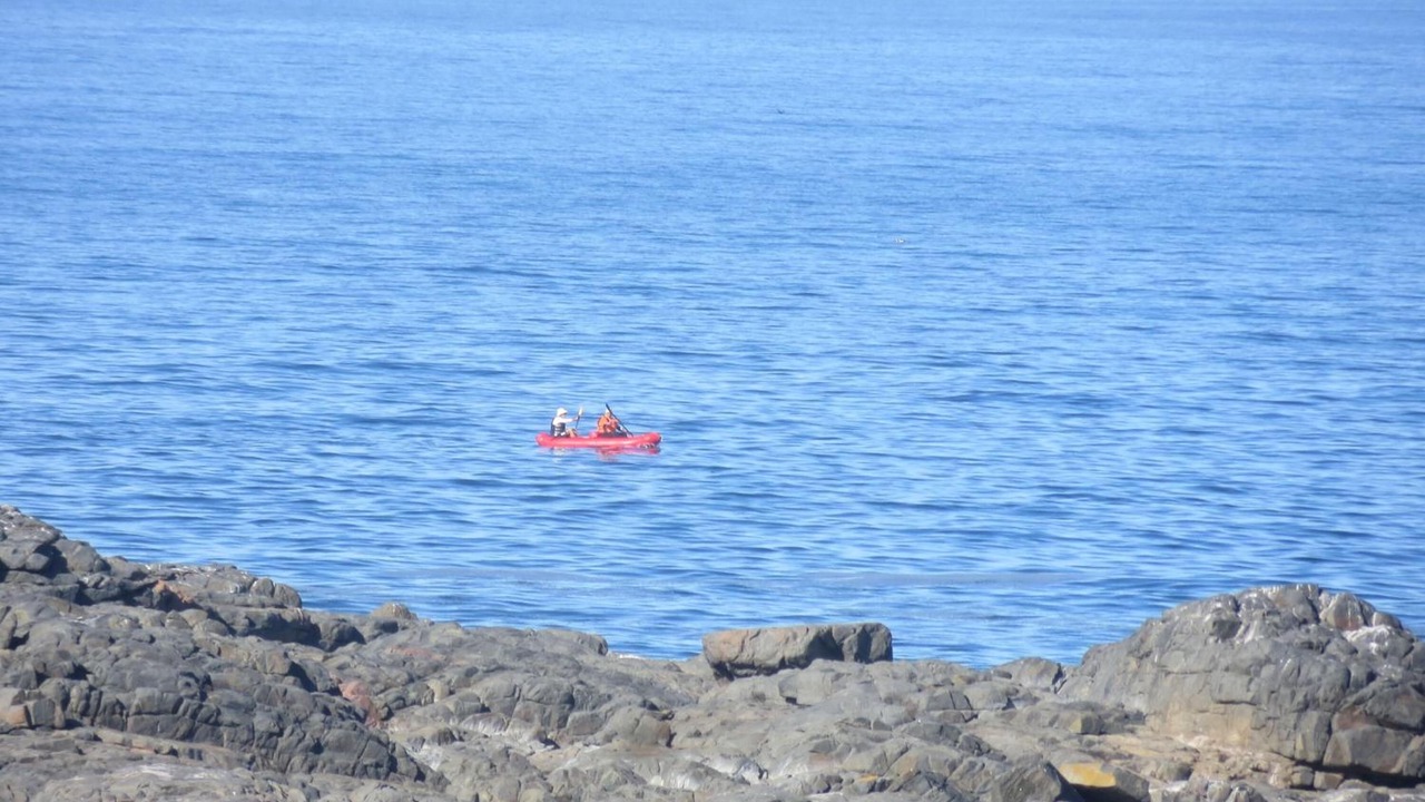 Photo of Others in Yzerfontein