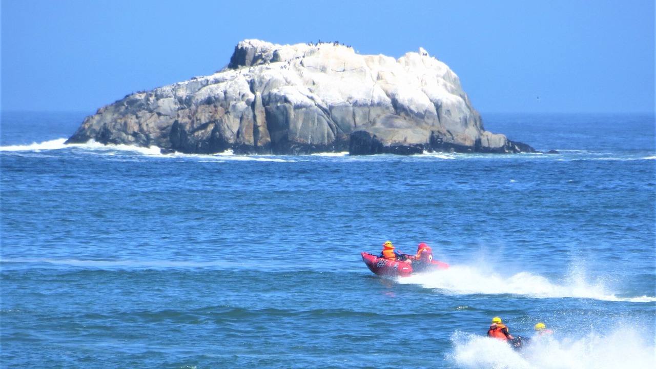 Photo of Others in Yzerfontein