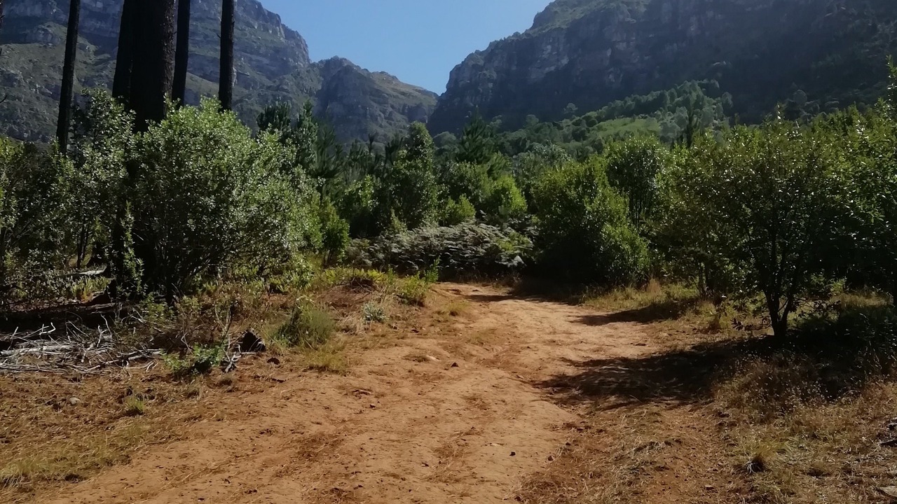 Photo of Others in Newlands