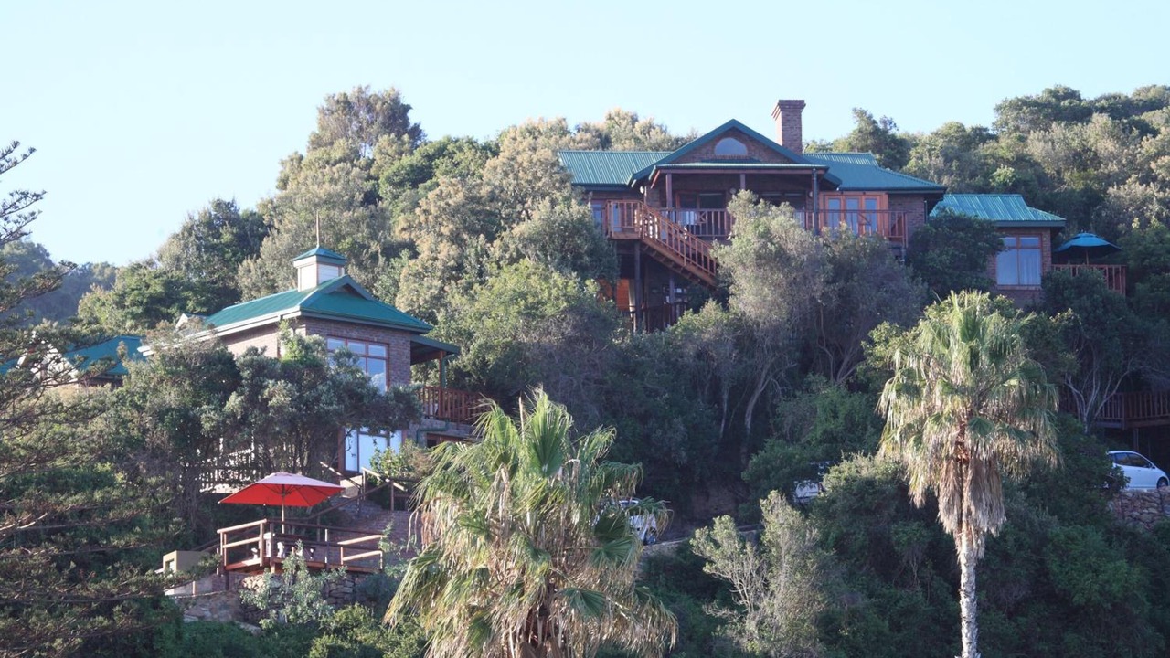 Photo of Outdoor in Wilderness