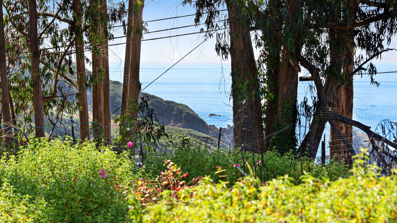 Photo of Outdoor in Albion