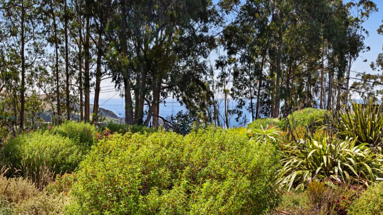 Photo of Outdoor in Albion
