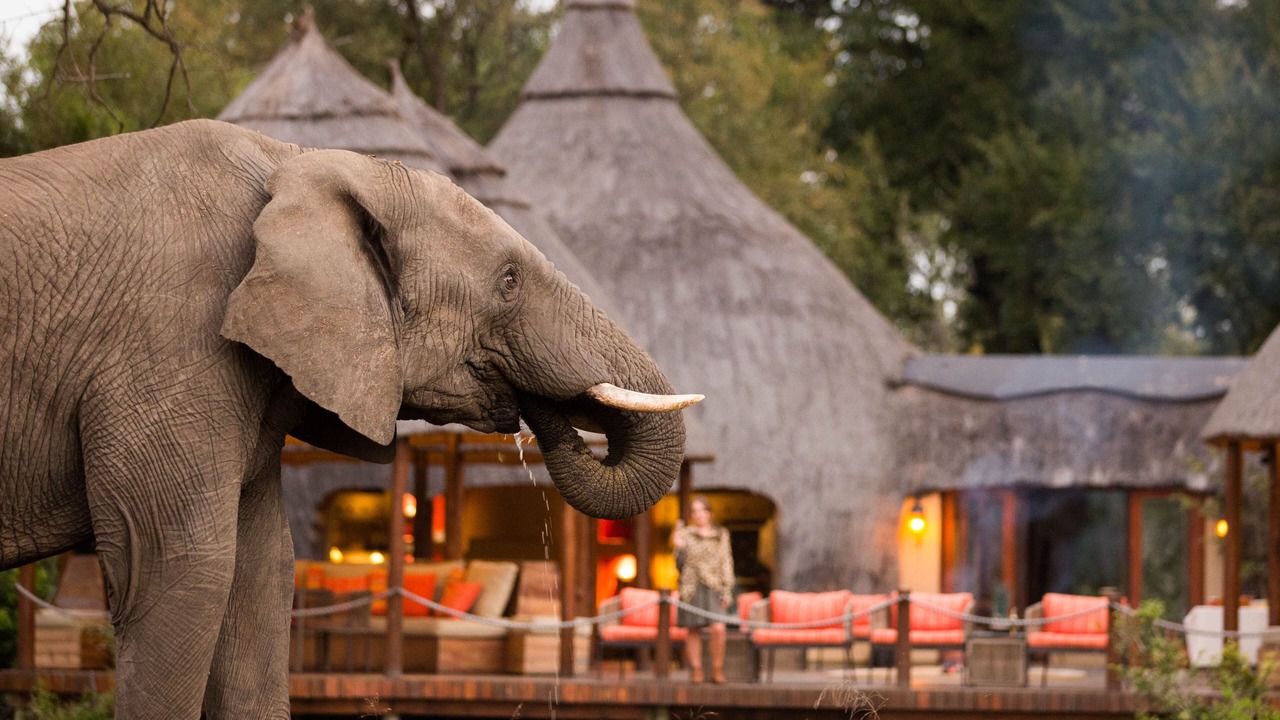 Photo of Others in Kruger National Park
