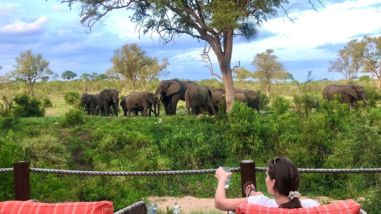 Photo of Others in Kruger National Park