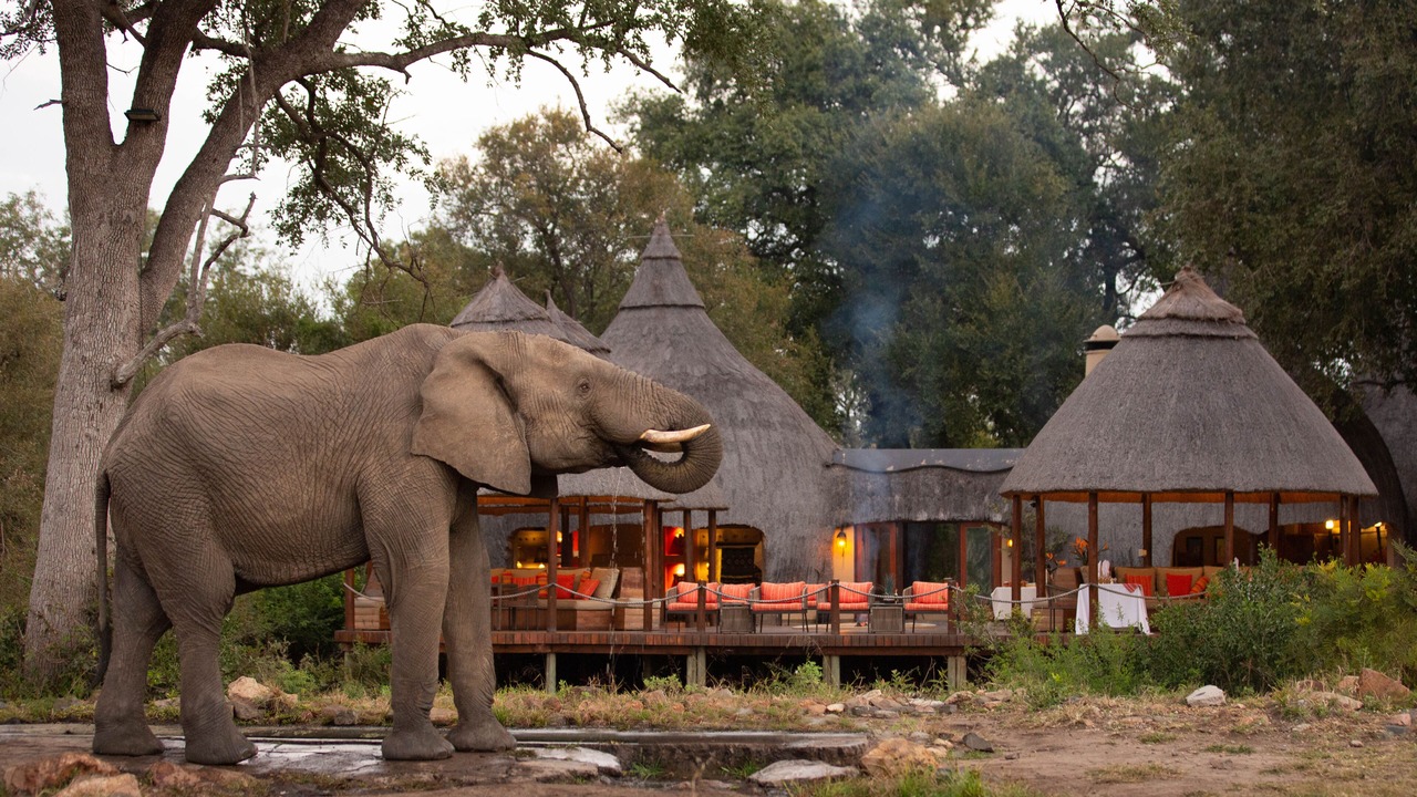 Photo of Outdoor in Kruger National Park