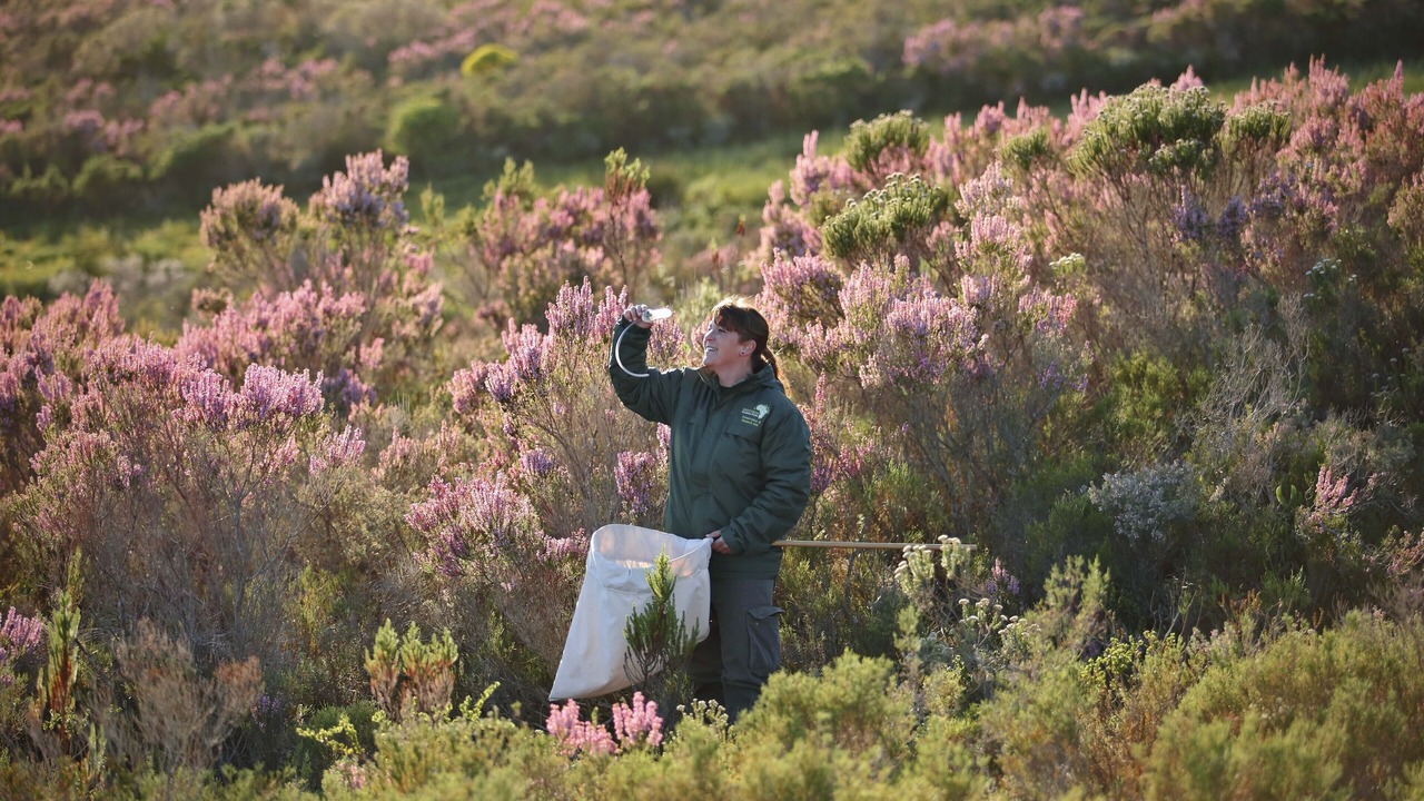 Photo of Outdoor in Gansbaai