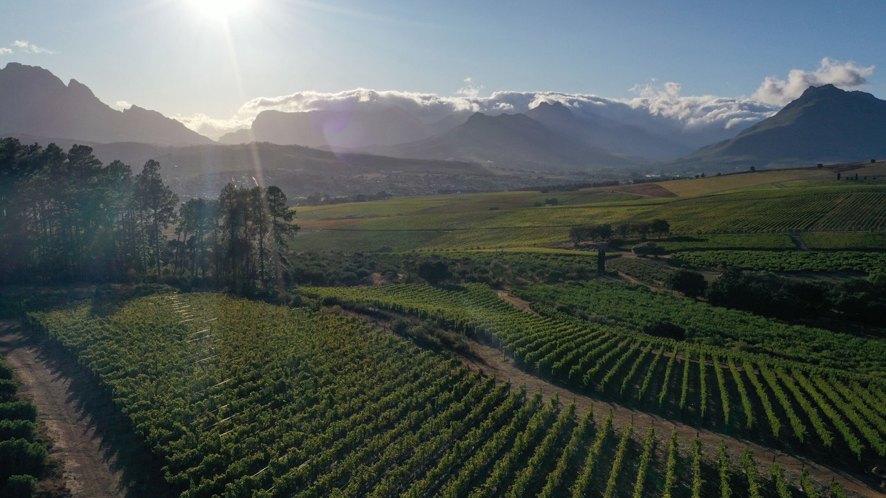 Photo of Outdoor in Stellenbosch