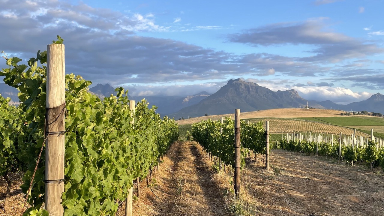 Photo of Others in Stellenbosch