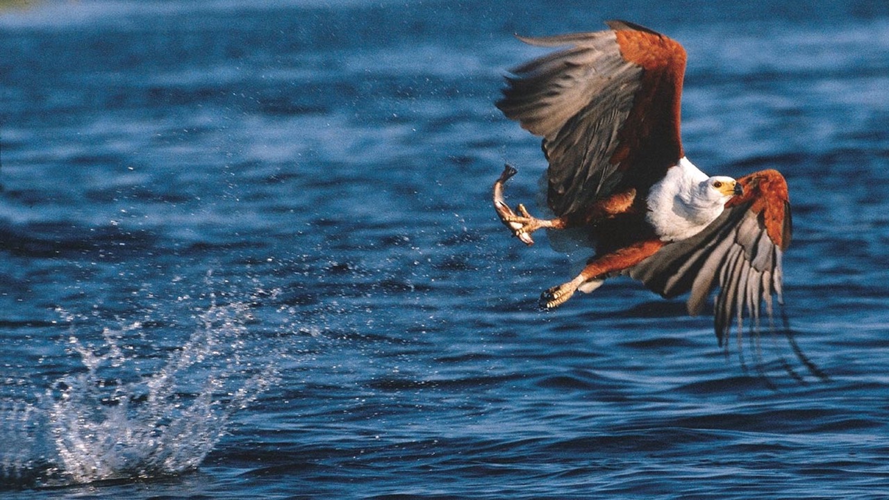 Photo of Others in Kenton on Sea