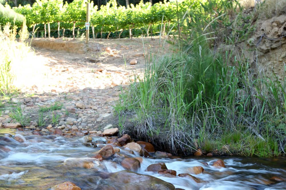 Photo of Outdoor in Drakenstein