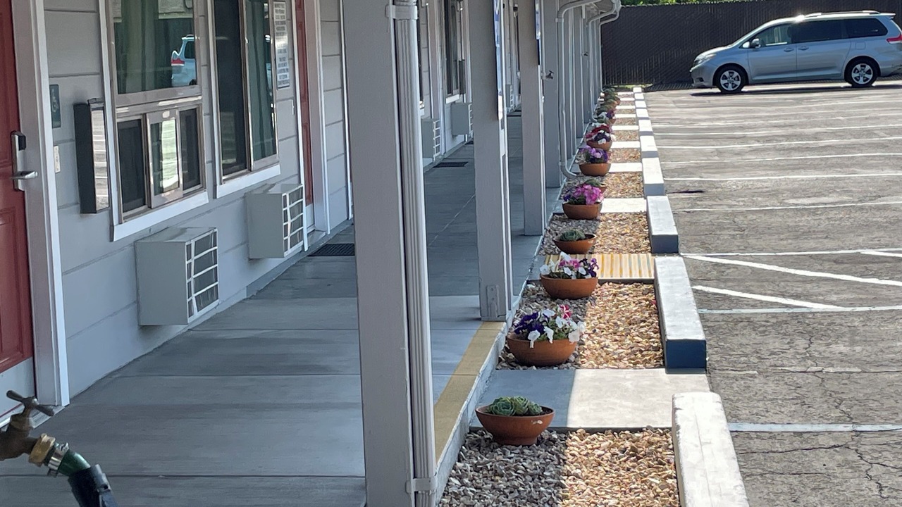 Photo of Outdoor in Willits